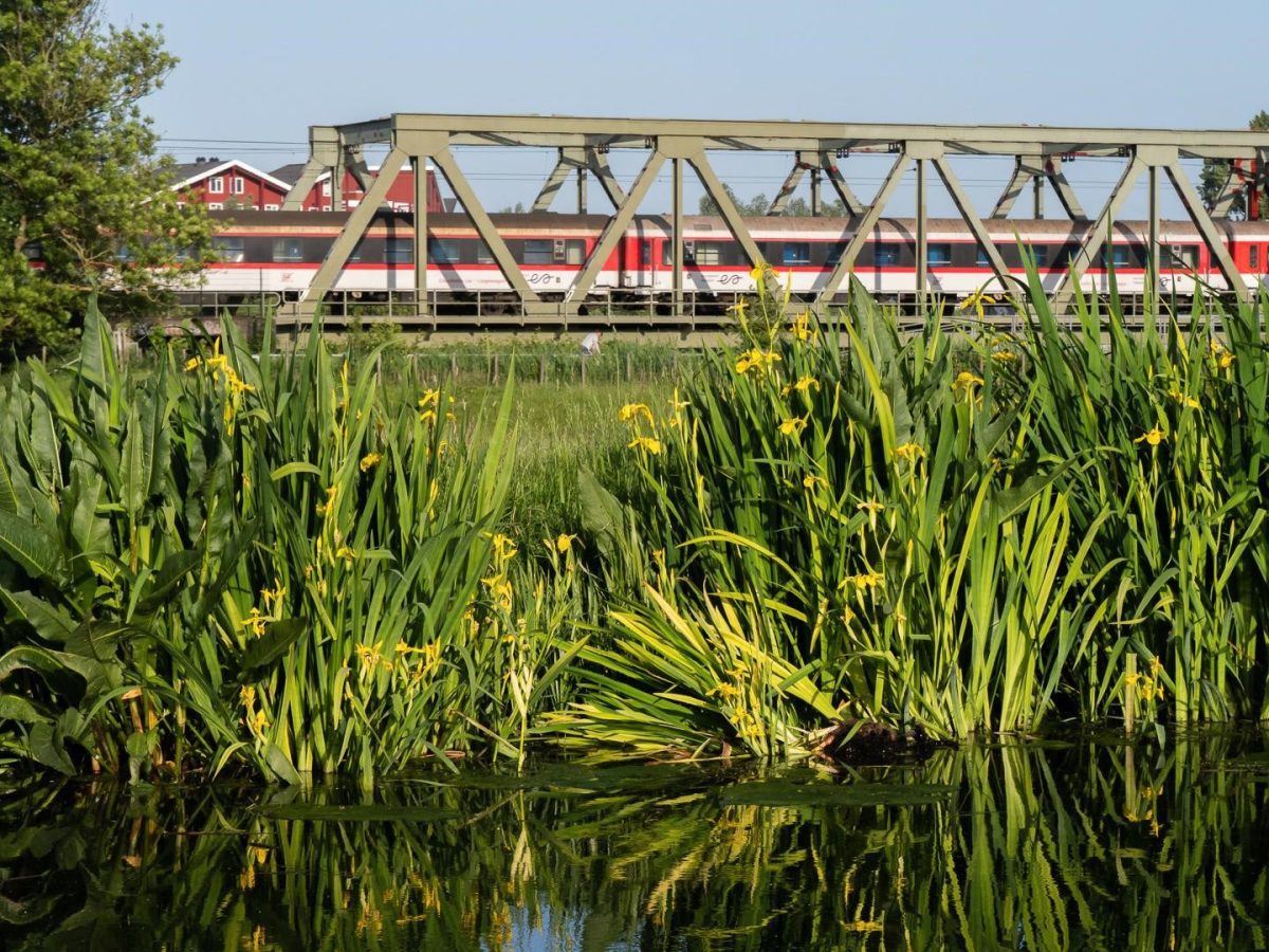 European Sleeper acquires tour operator GreenCityTrip 8 European Sleeper
