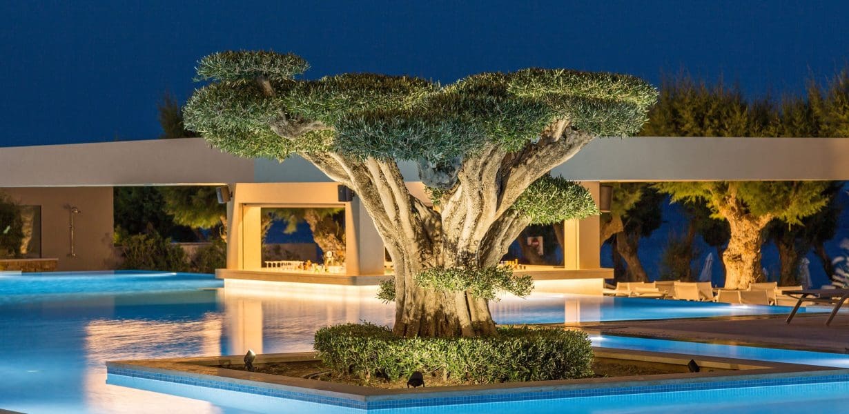 Amada Colossos Resort, Rhodes A Romantic Greek Getaway, Perfect For Tying The Knot 1