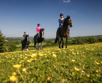Northern Ireland Travel Magazine City-of-Derry-Equestrian.-345x280 SPRING INTO DERRY Make way for a crackin’ Spring and Summer with a visit to epic, Derry~Londonderry 
