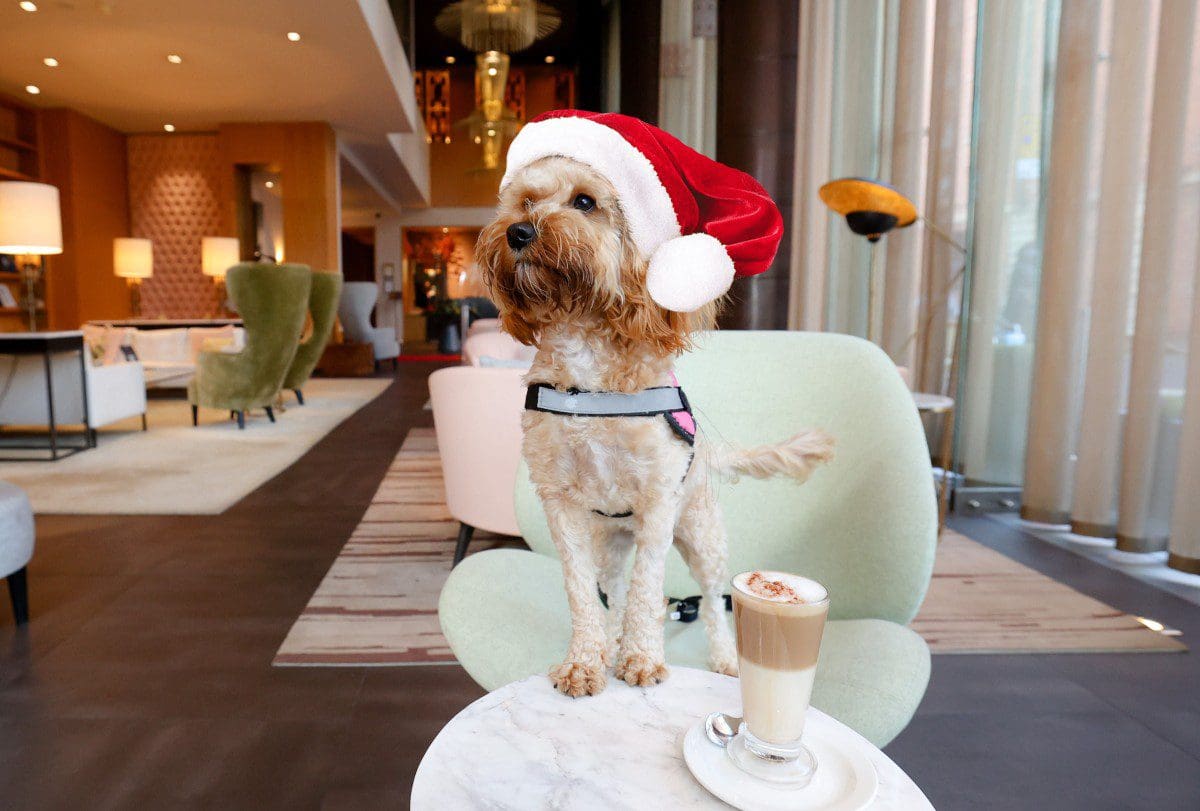 THE GIFT THAT ‘FITZ’ THIS CHRISTMAS 2 THE GIFT THAT ‘FITZ’ THIS CHRISTMAS 2