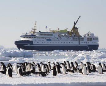 Apply to be Chief Flying Penguin Officer for Chance to Travel to Antarctica 6
