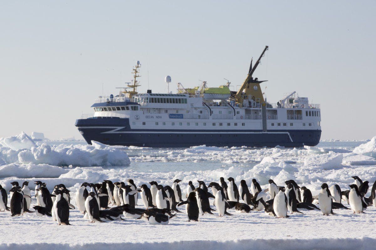 Apply to be Chief Flying Penguin Officer for Chance to Travel to Antarctica 1