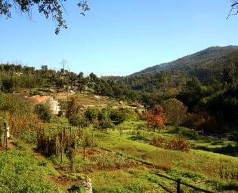 DISCOVER THE ALGARVE’S CULTURAL HERITAGE THROUGH THEIR LOCALS 12