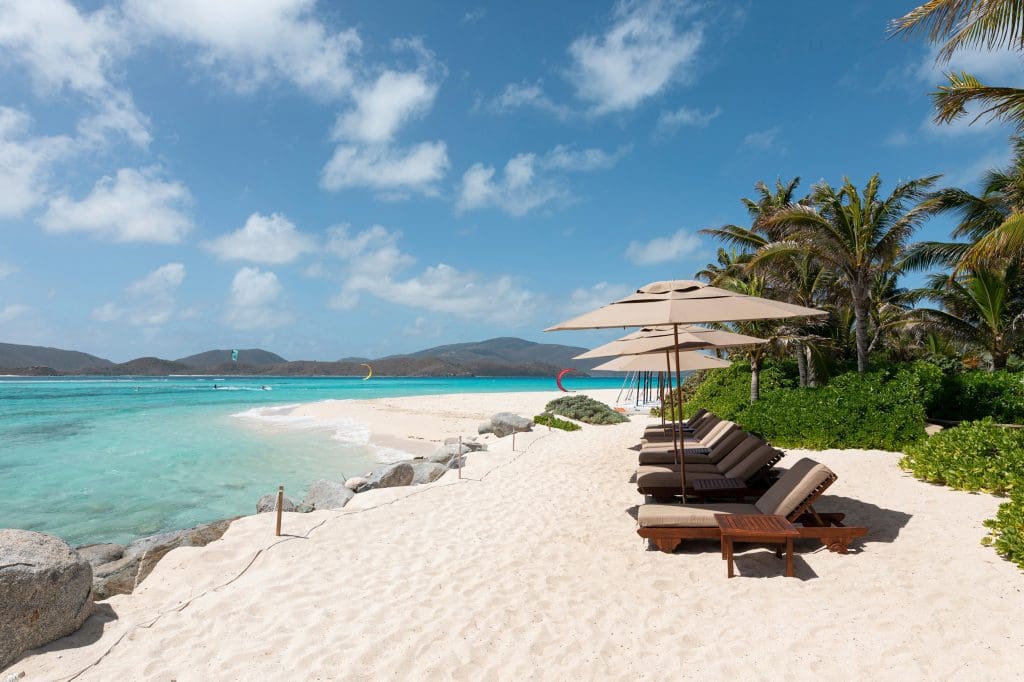 REGENERATIVE TOURISM WITH MANGROVE PLANTING FOR GUESTS ON NECKER ISLAND 11