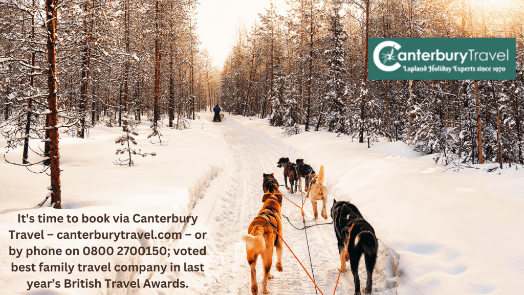 It’s beginning to look a lot like Christmas……. 6