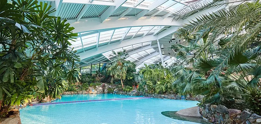 Unveiling the Magic of Center Parcs Ireland: The Ultimate Retreat for Nature Lovers 15 Unveiling the Magic of Center Parcs Ireland: The Ultimate Retreat for Nature Lovers 14