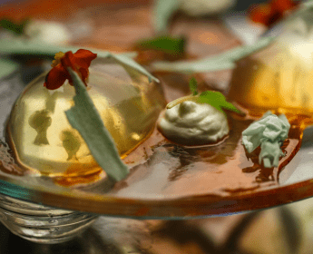 WHAT’S NEW IN CATALONIA 10