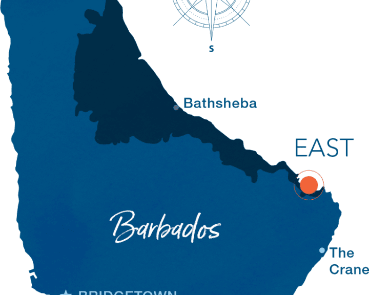 The East Coast of Barbados – a canvas where the Atlantic's untamed swells paint a rugged and awe-inspiring coastline. 9