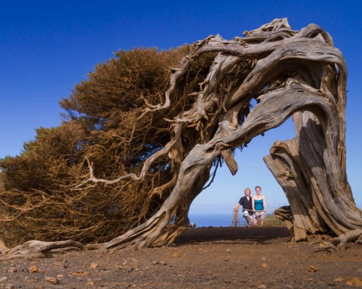 Your Essential Guide to the Canary Islands: How to make the most of your trip 6