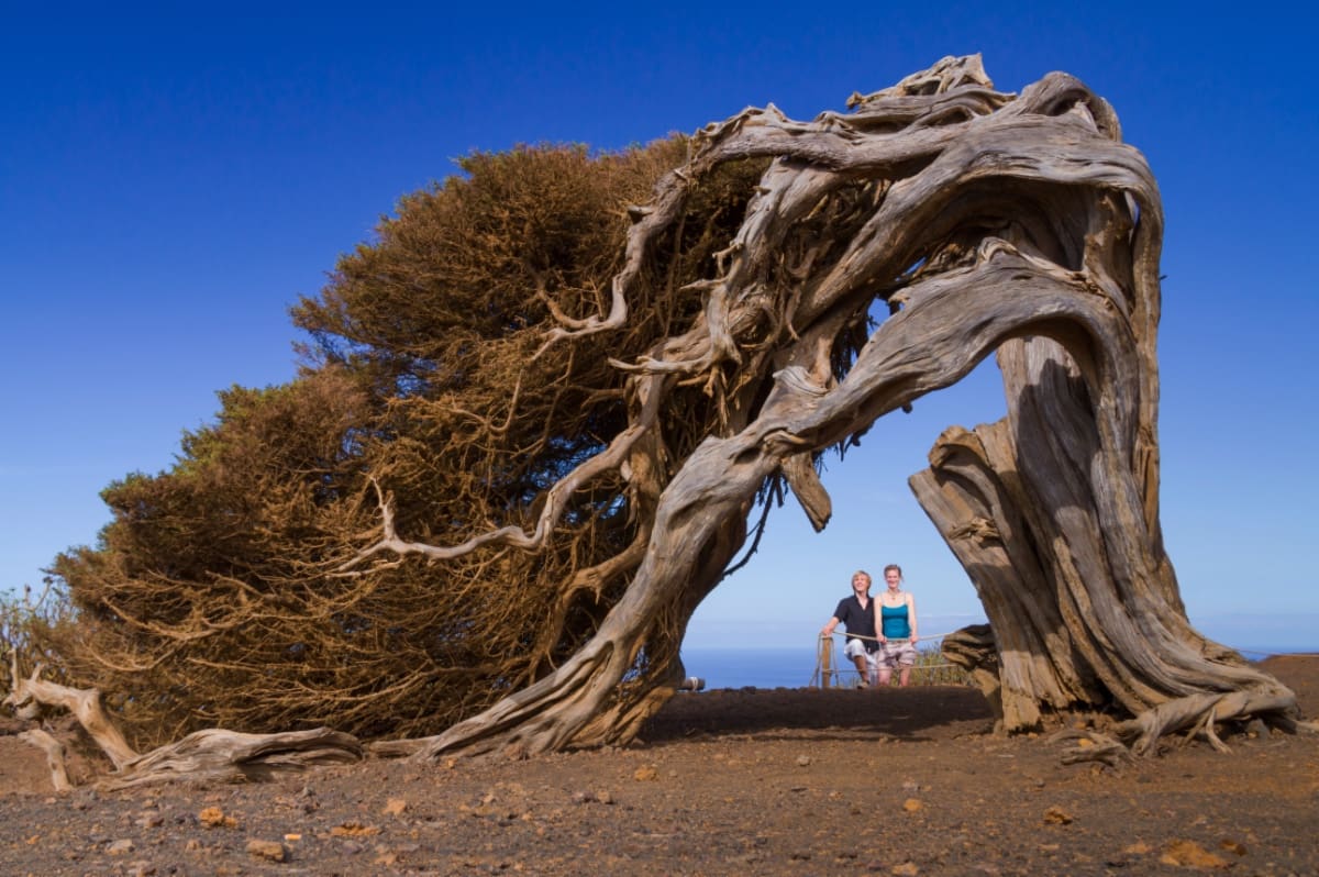 Your Essential Guide to the Canary Islands: How to make the most of your trip 1