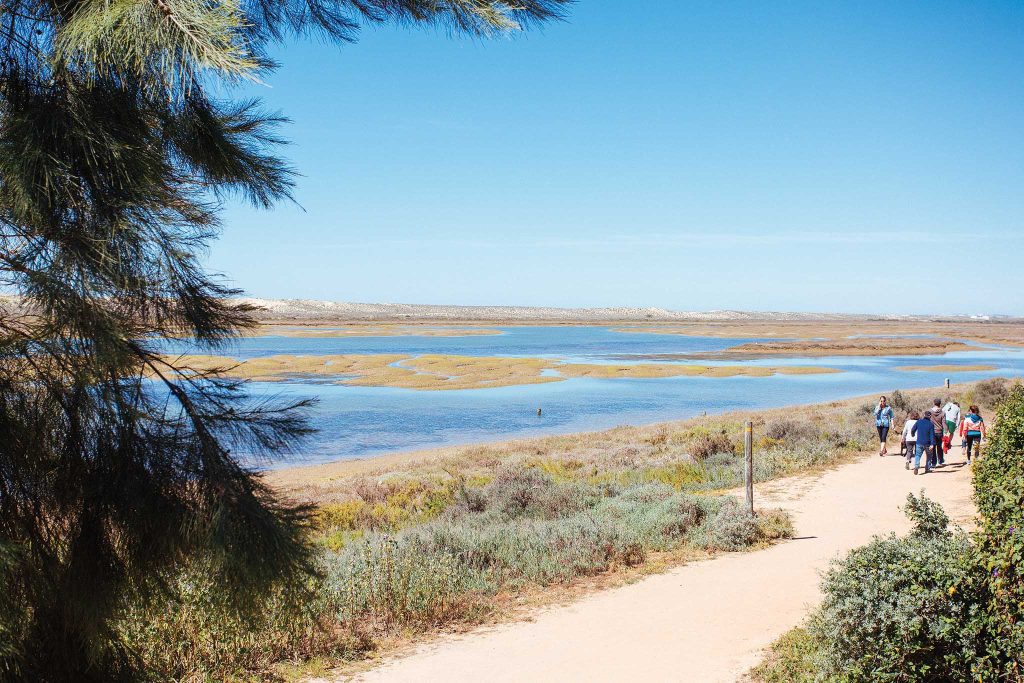 The Algarve – Ria Formosa Natural Park