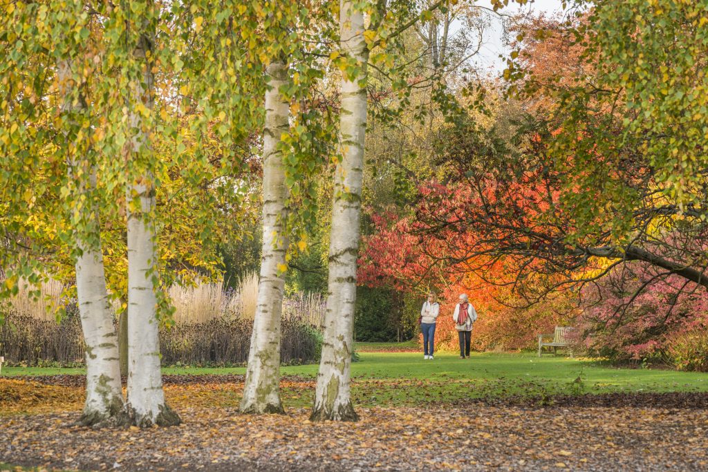 Revive with a weekend of wellness in Cambridge  6