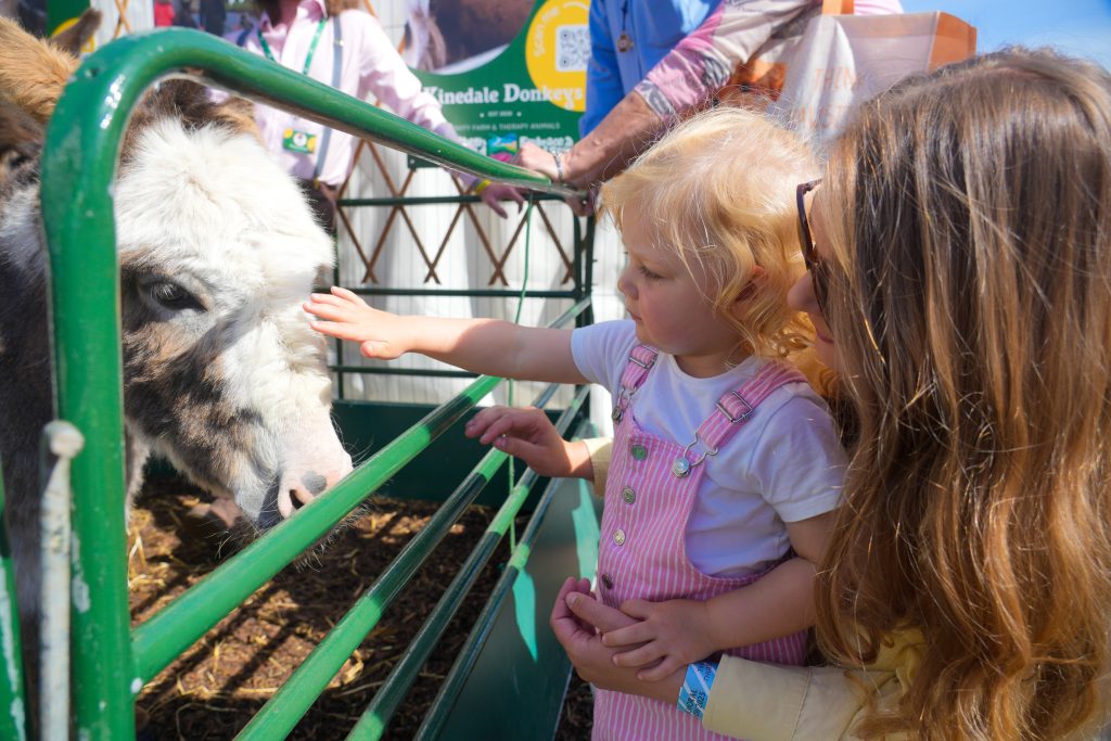 Balmoral Show – Where There’s MORE Than Meets the Eye 36 Balmoral Show – Where There’s MORE Than Meets the Eye 5