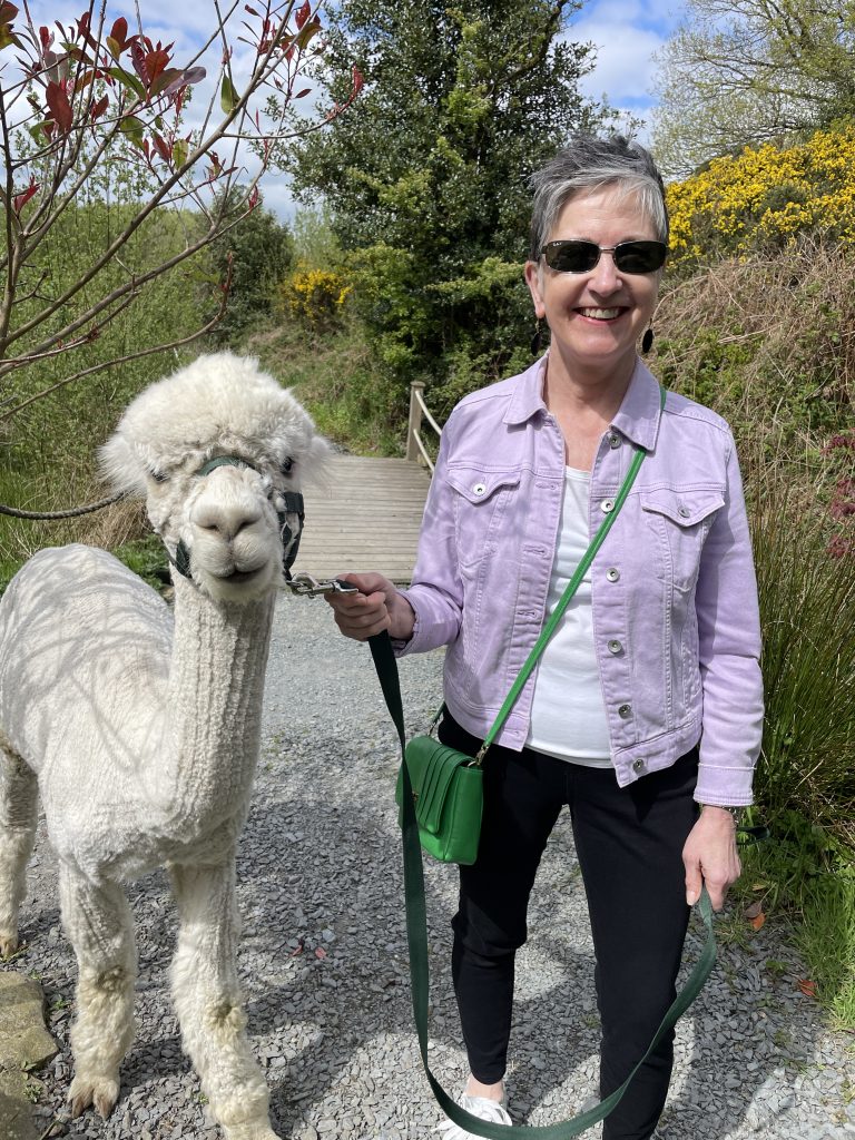 Alpaca Trekking Adventure at Ballyburren