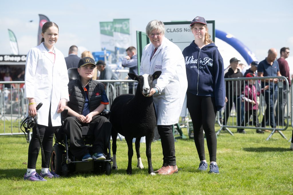 Balmoral Show – Where There’s MORE Than Meets the Eye 27 Balmoral Show – Where There’s MORE Than Meets the Eye