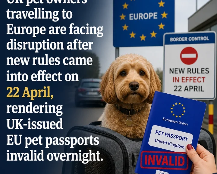UK dog owners caught out as travel rules change
