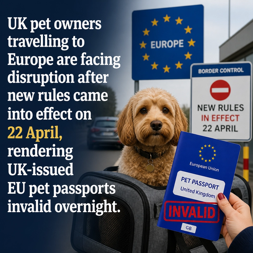 UK dog owners caught out as travel rules change