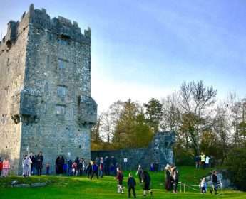 OPW Heritage Card: Unlimited Access to Ireland’s Historic Sites for One Year