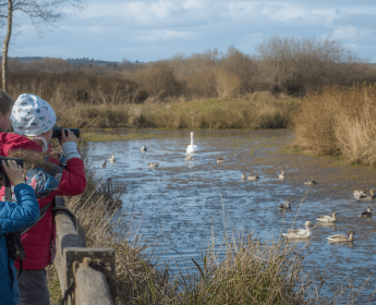 kids looking at wildfowl 
