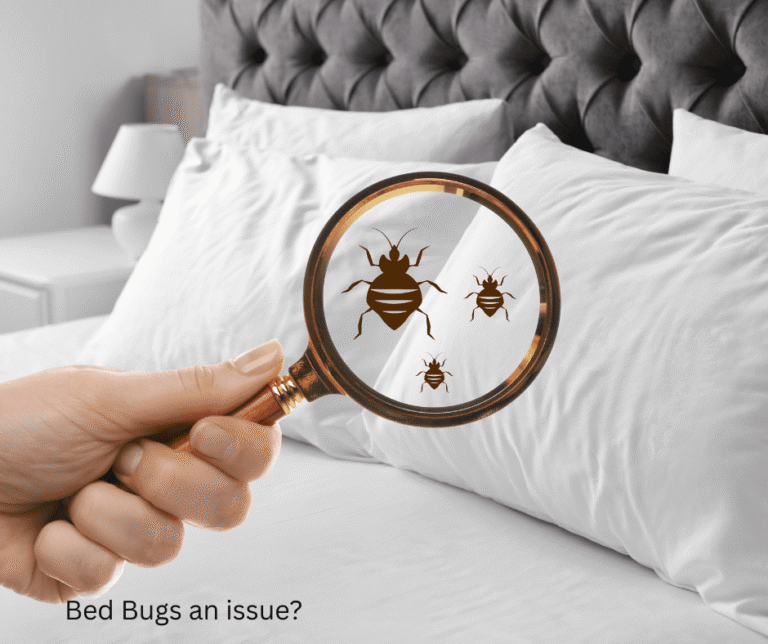 How Bed Bugs Are Getting Across Borders