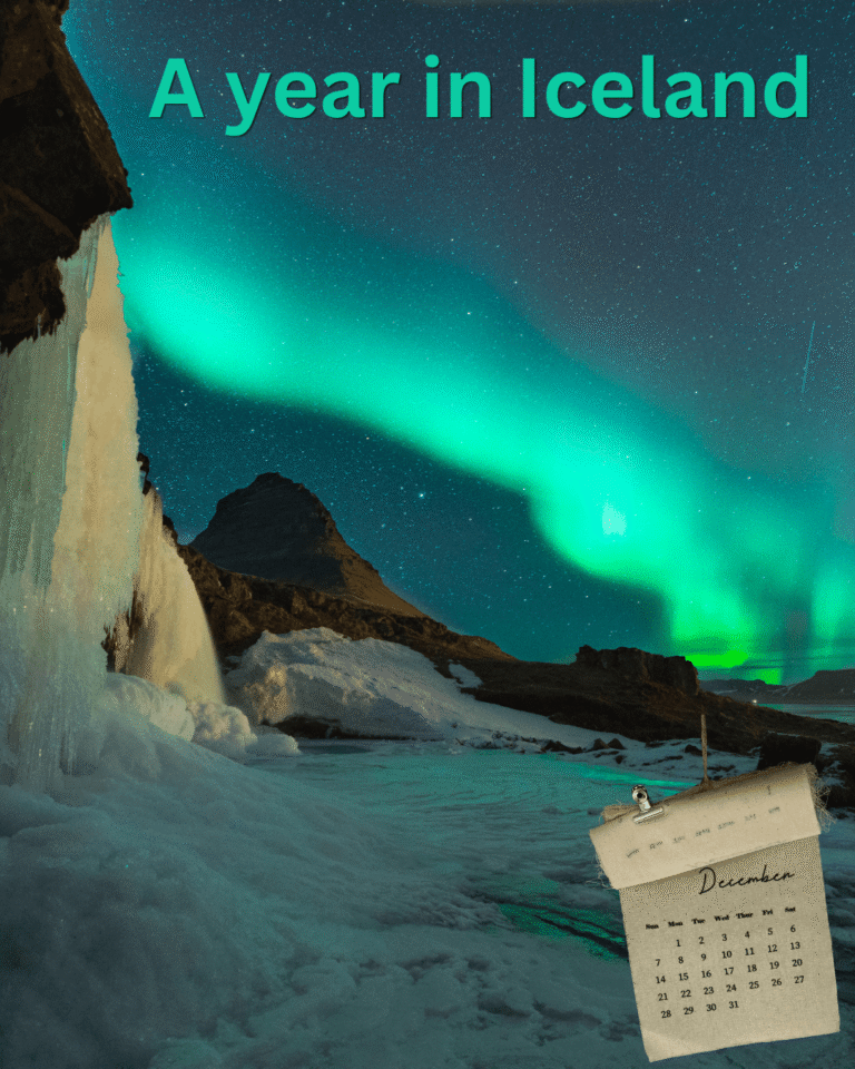 A Year In Iceland 