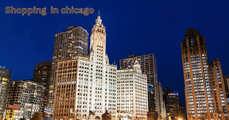 shopping locations in chicago