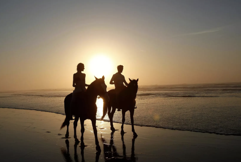 image of two people riding horses on a beach near to Mazagan Beach & Golf Resort